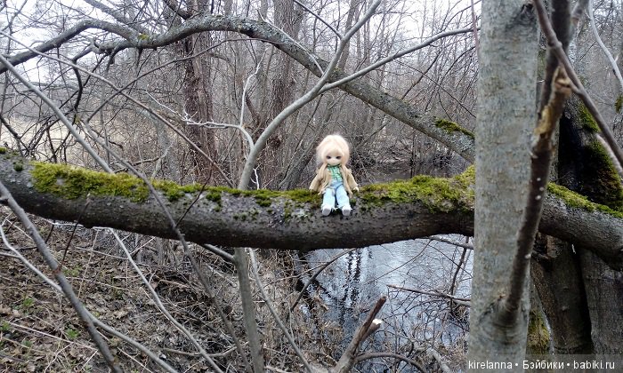 Виля в поисках весны - часть 1, пасмурно-туманная (фото 9)