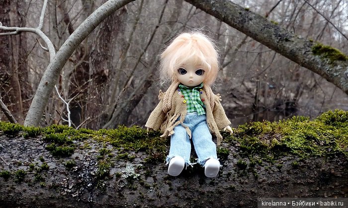 Виля в поисках весны - часть 1, пасмурно-туманная