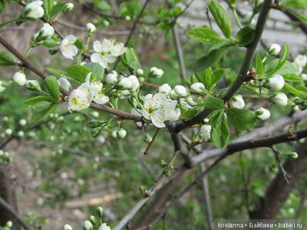 Домовята к лету готовы — Российские куклы Весна