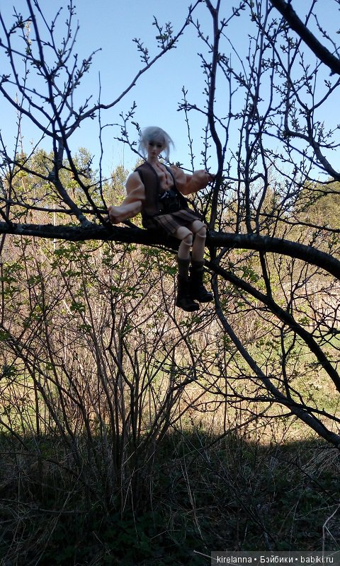 Прогулки с феями. Часть 2, цветы до самого неба (фото 9)