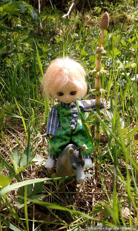 Прогулки с феями. Часть 1, вилиса и волшебные грибы