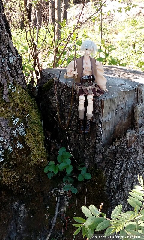 Прогулки с феями. Часть 2, цветы до самого неба