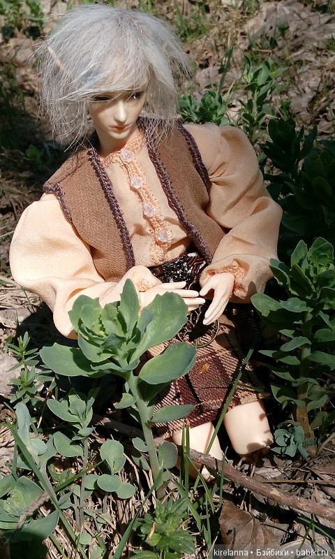 Прогулки с феями. Часть 2, цветы до самого неба