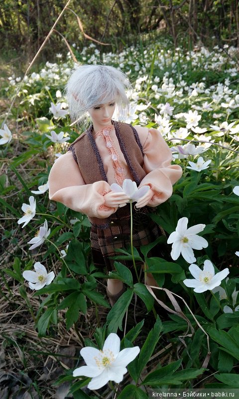 Прогулки с феями. Часть 2, цветы до самого неба