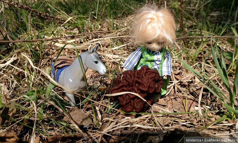 Прогулки с феями. Часть 1, вилиса и волшебные грибы