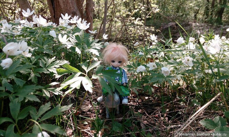 Прогулки с феями. Часть 1, вилиса и волшебные грибы