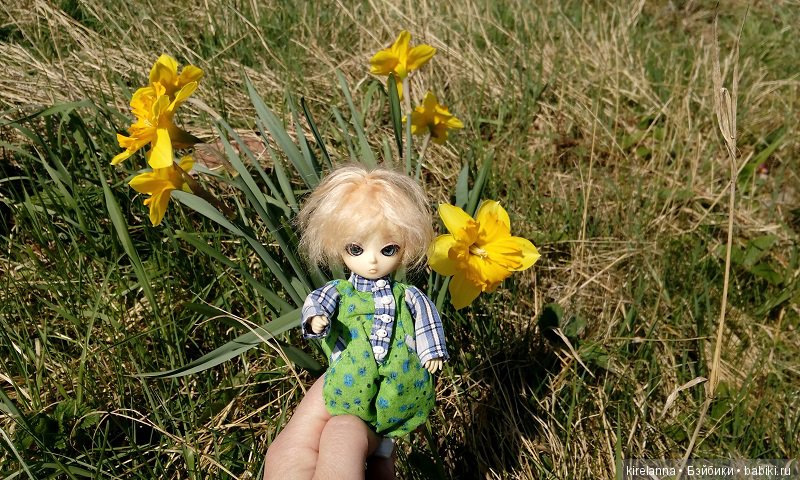 Прогулки с феями. Часть 1, вилиса и волшебные грибы