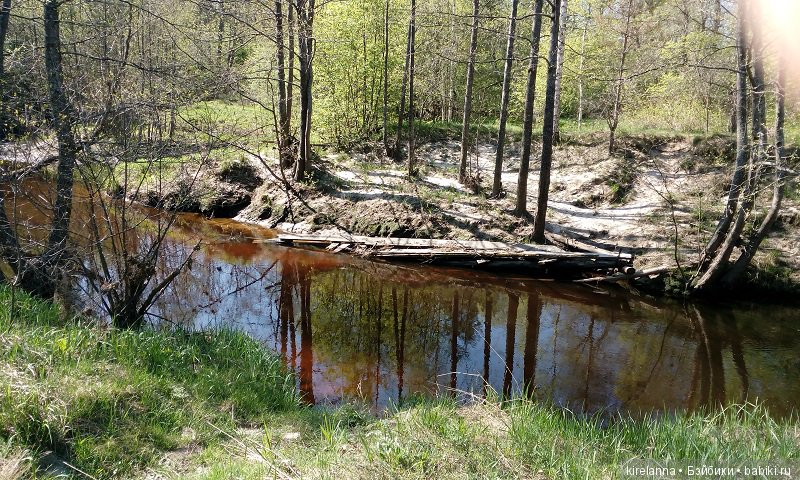 Прогулки с феями. Часть 2, цветы до самого неба
