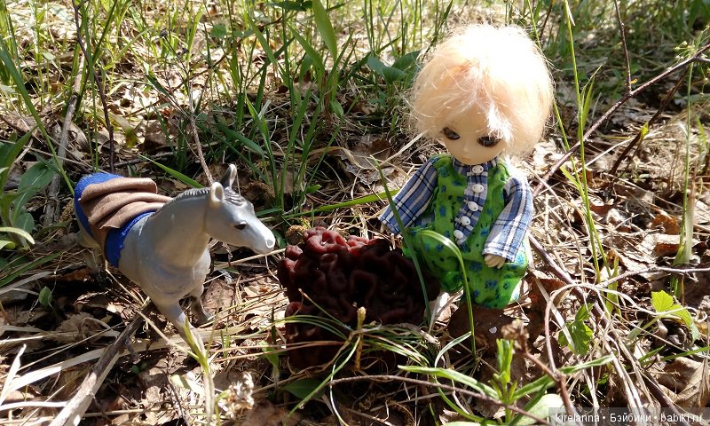 Прогулки с феями. Часть 1, вилиса и волшебные грибы