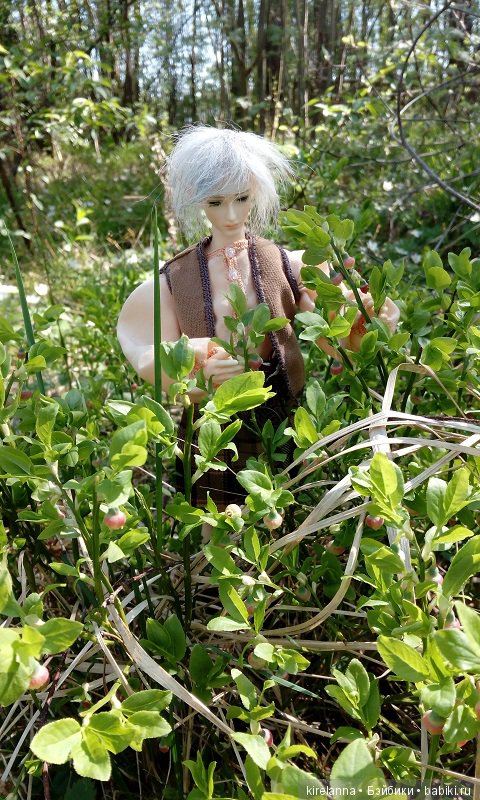 Прогулки с феями. Часть 2, цветы до самого неба