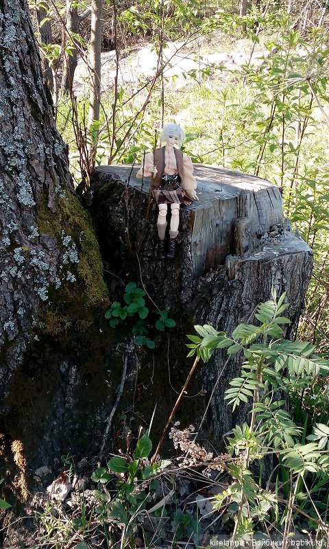 Прогулки с феями. Часть 2, цветы до самого неба