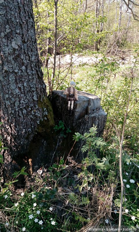 Прогулки с феями. Часть 2, цветы до самого неба