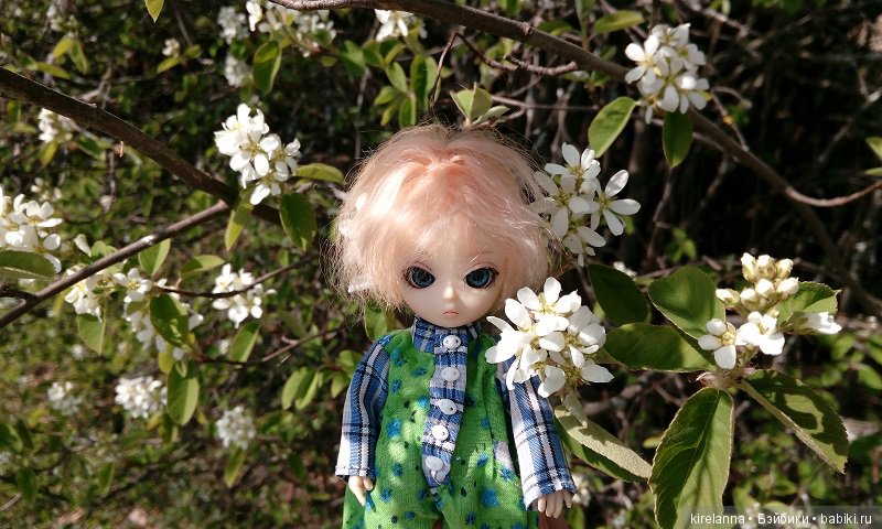 Прогулки с феями. Часть 1, вилиса и волшебные грибы (фото 4)