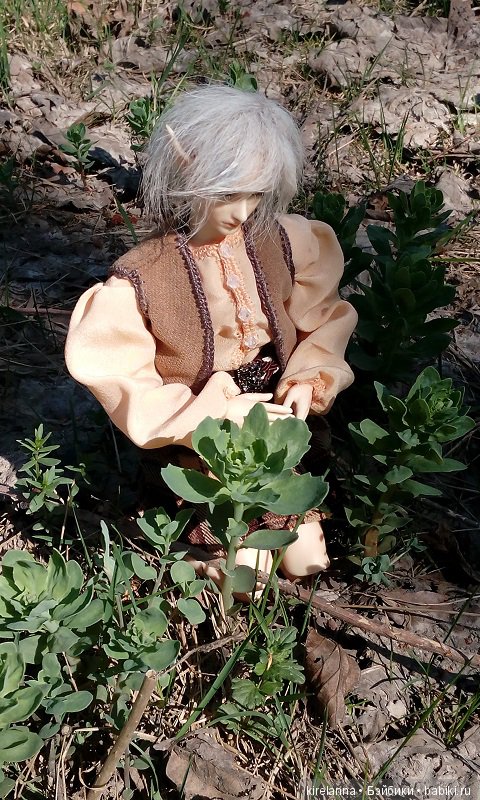 Прогулки с феями. Часть 2, цветы до самого неба