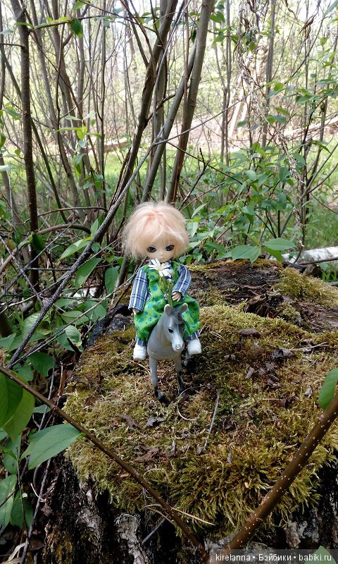 Прогулки с феями. Часть 1, вилиса и волшебные грибы