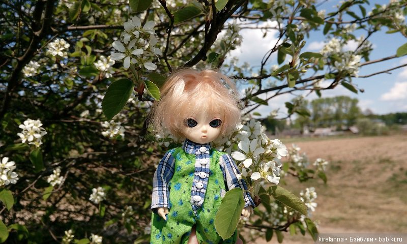 Прогулки с феями. Часть 1, вилиса и волшебные грибы (фото 3)