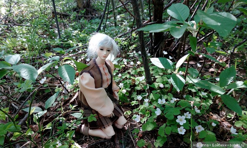 Прогулки с феями. Часть 2, цветы до самого неба