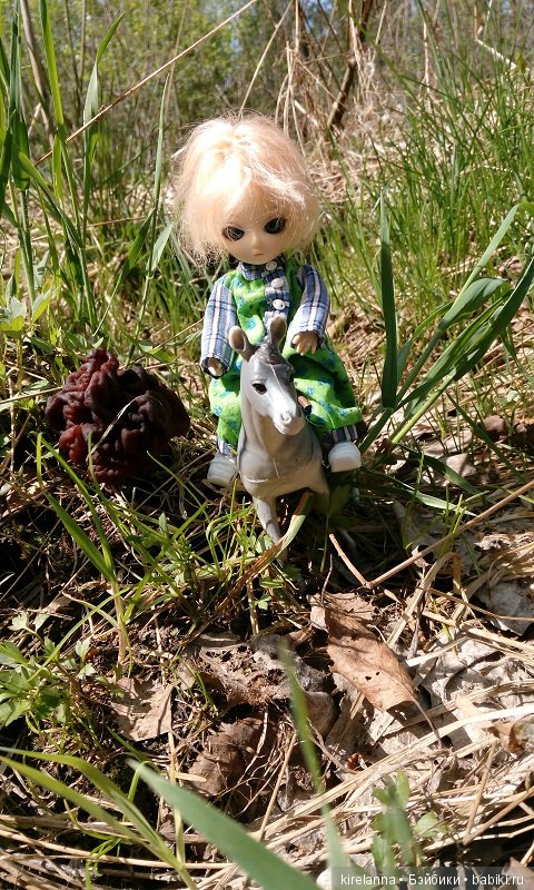 Прогулки с феями. Часть 1, вилиса и волшебные грибы (фото 5)