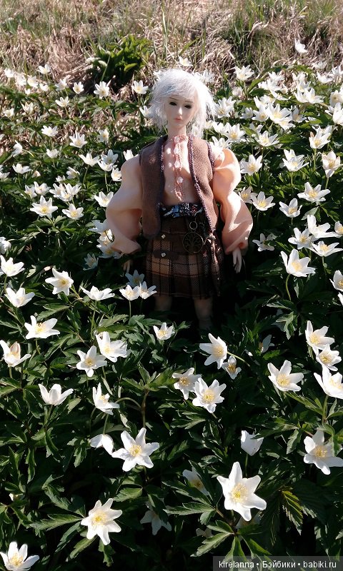 Прогулки с феями. Часть 2, цветы до самого неба