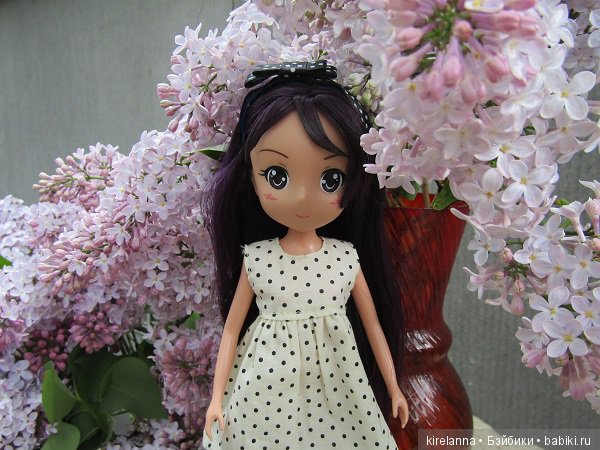 Букет сирени — Болталка и разговоры обо всем: жизнь