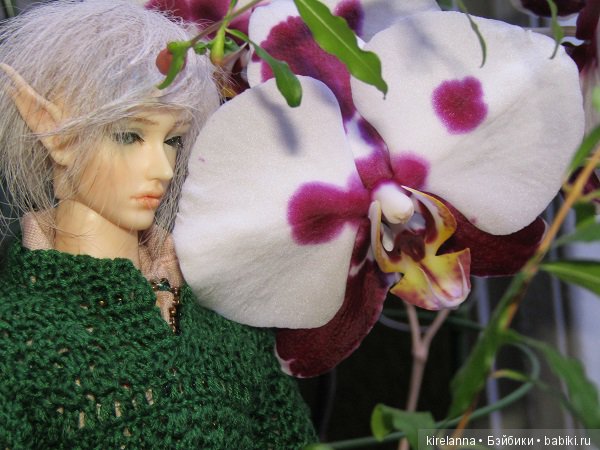 Невтерпёж — Куклы Soom (Сум): BJD (БЖД) (фото 9)