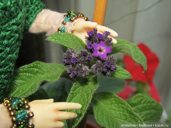 Невтерпёж — Куклы Soom (Сум): BJD (БЖД)