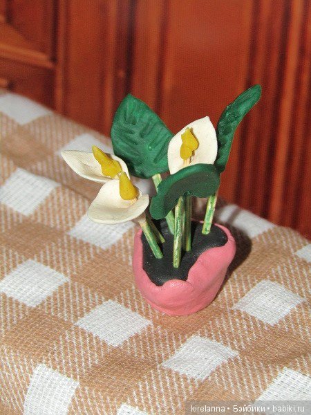 Мисс Бэйбики 2018 - презентация конкурсантки из Лысогорска