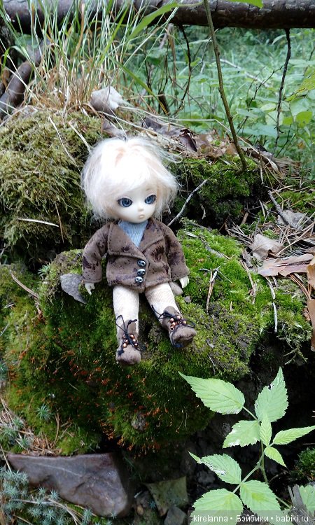 Прогулки с феями. Часть 6 - Вилька и немного живности