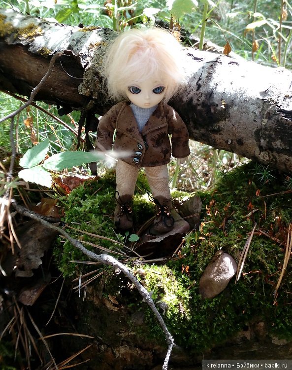 Прогулки с феями. Часть 6 - Вилька и немного живности