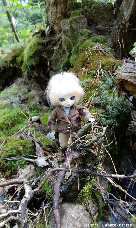 Прогулки с феями. Часть 6 - Вилька и немного живности