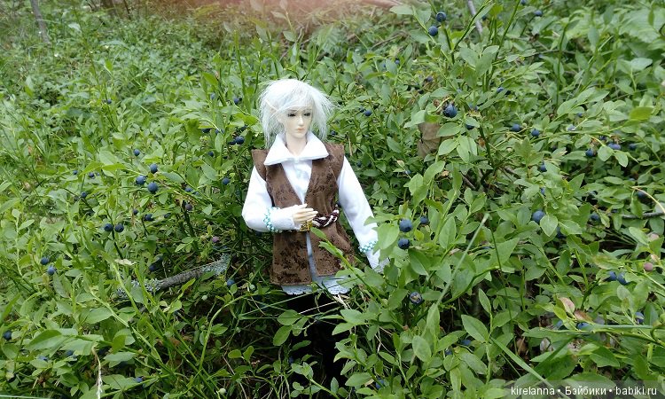 Прогулки с феями. Часть 5 - ягодный фей