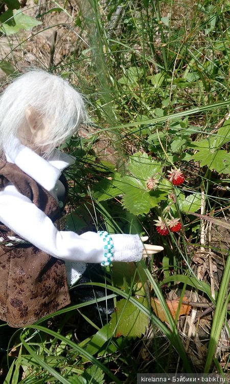 Прогулки с феями. Часть 5 - ягодный фей (фото 6)