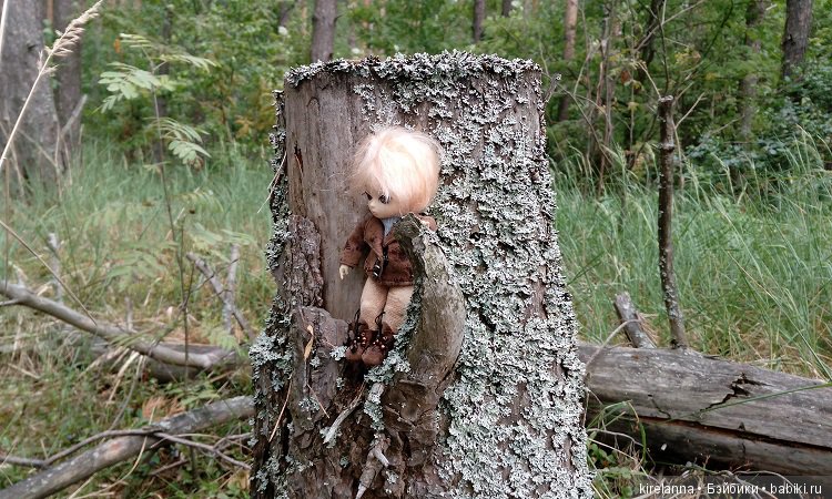 Прогулки с феями. Часть 6 - Вилька и немного живности