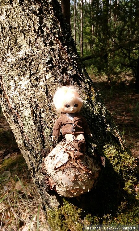 Прогулки с феями. Часть 6 - Вилька и немного живности