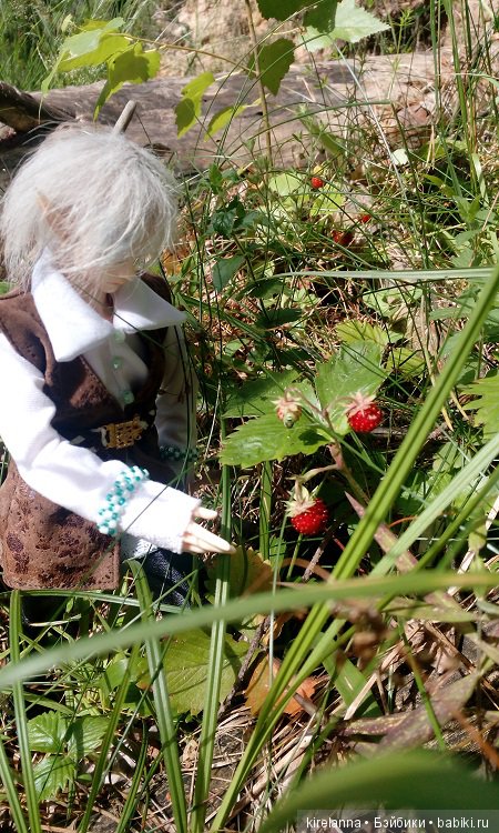Прогулки с феями. Часть 5 - ягодный фей (фото 7)