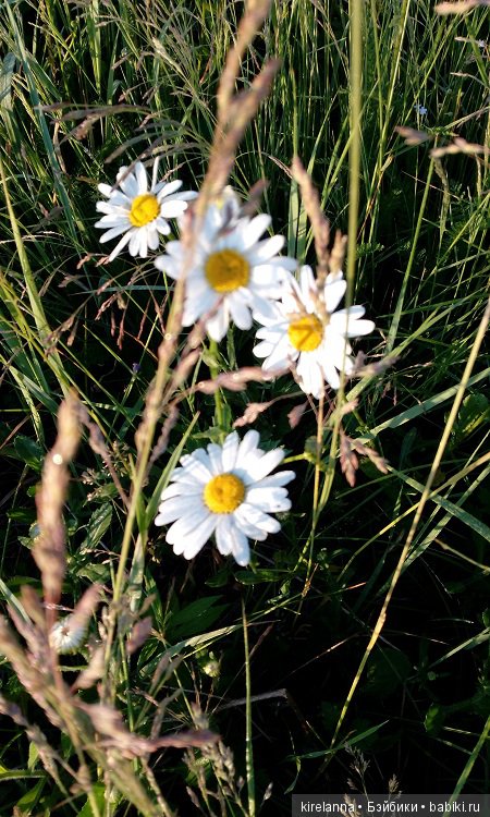 Прогулки с феями. Часть 5 - ягодный фей