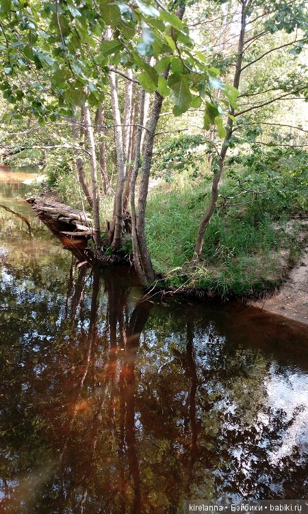 Прогулки с феями. Часть 6 - Вилька и немного живности (фото 9)
