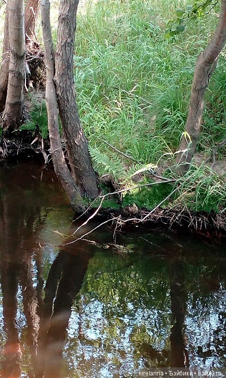 Прогулки с феями. Часть 6 - Вилька и немного живности (фото 10)