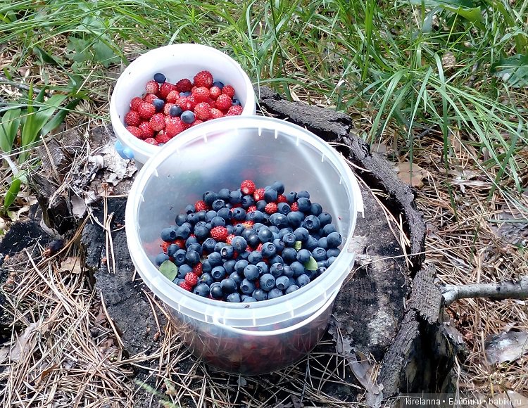 Прогулки с феями. Часть 5 - ягодный фей