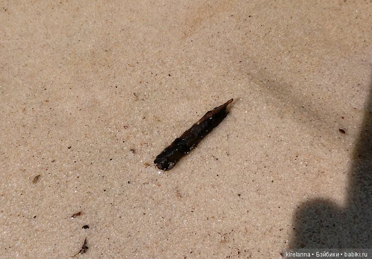 Прогулки с феями. Часть 6 - Вилька и немного живности