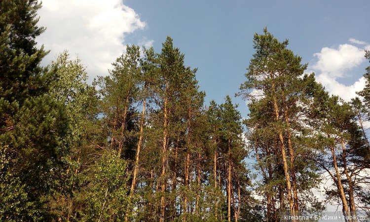 Прогулки с феями. Часть 5 - ягодный фей