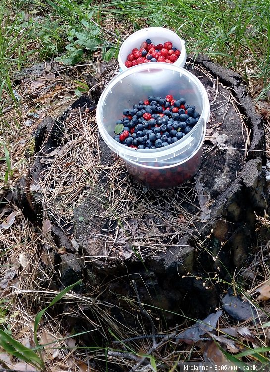 Прогулки с феями. Часть 5 - ягодный фей