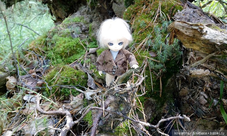 Прогулки с феями. Часть 6 - Вилька и немного живности