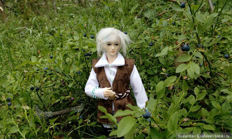 Прогулки с феями. Часть 5 - ягодный фей