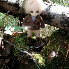 Прогулки с феями. Часть 6 - Вилька и немного живности