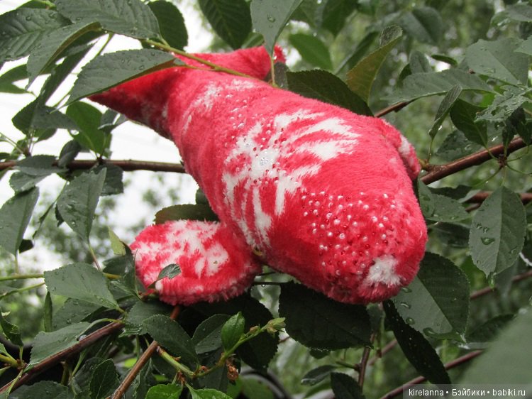 Благодарности пост, или ещё пара слов о Небесных Китах