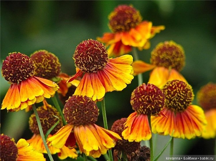 Город, которого нет на карте. Установочная сессия и немного практики