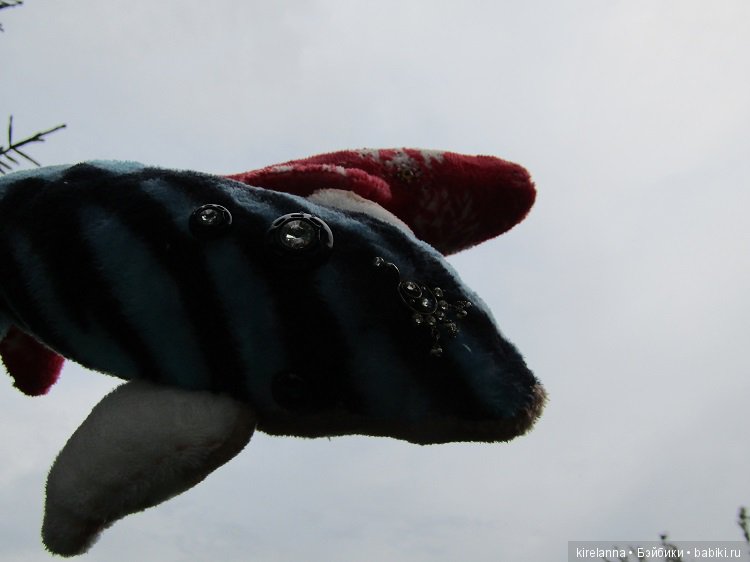 Благодарности пост, или ещё пара слов о Небесных Китах (фото 7)