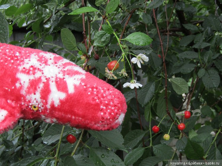 Благодарности пост, или ещё пара слов о Небесных Китах (фото 9)