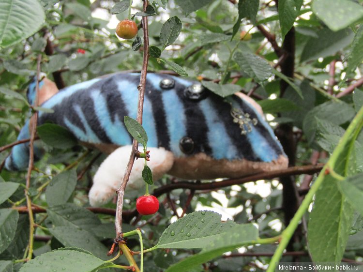 Благодарности пост, или ещё пара слов о Небесных Китах (фото 2)